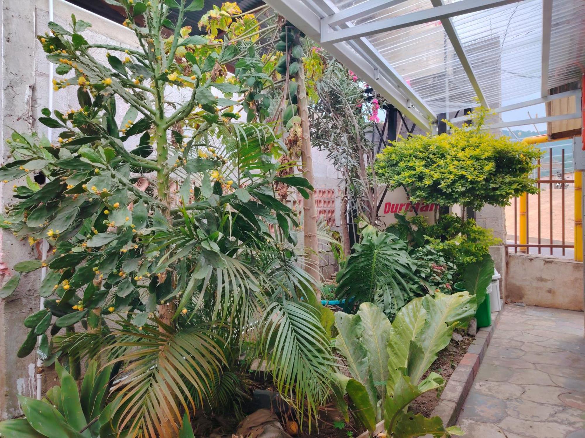 El Chirris B&B San Juan La Laguna Kültér fotó